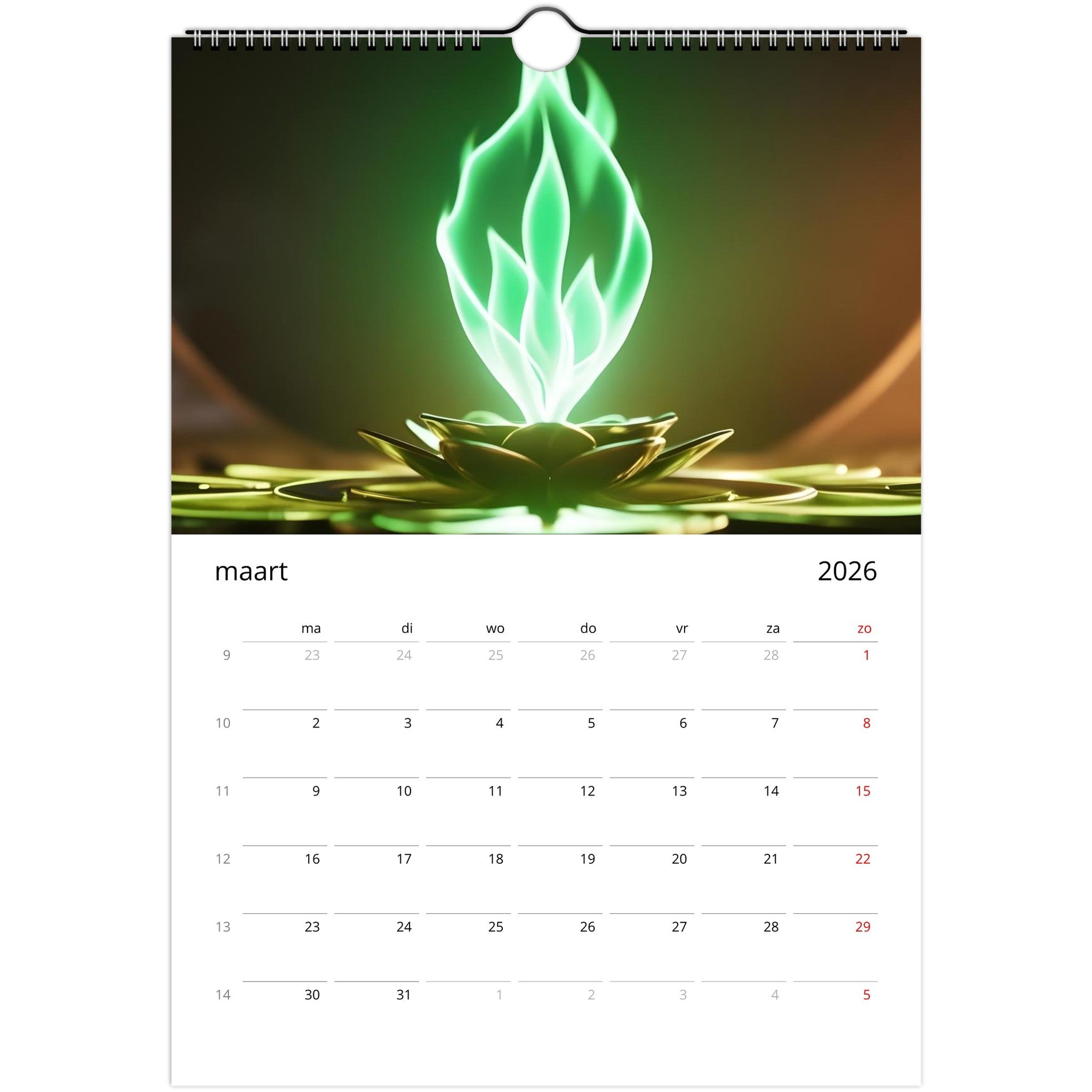 8eedb63f-8503-4cb1-9ec3-0fda107b0caa